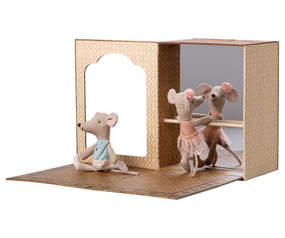 Little Brother & Sister - Ballet Mice in Dance Studio