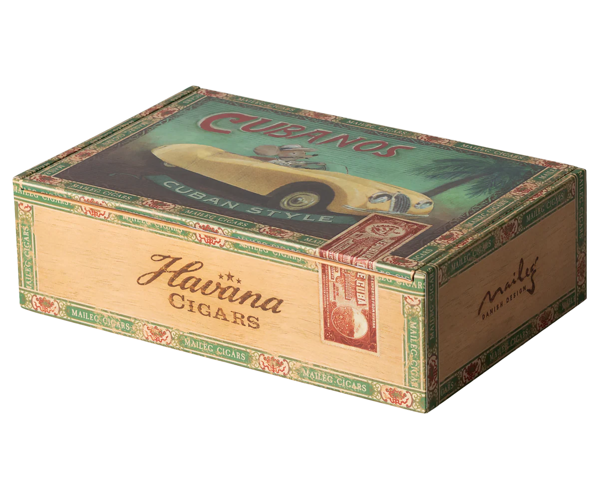 Grandma and Grandpa Mice in Cigar Box