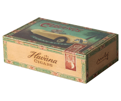 Grandma and Grandpa Mice in Cigar Box