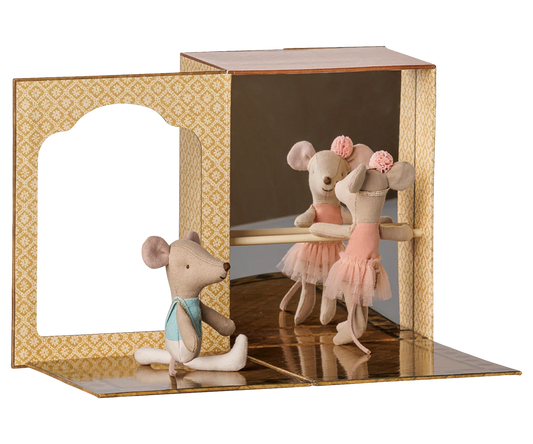 Little Brother & Sister - Ballet Mice in Dance Studio