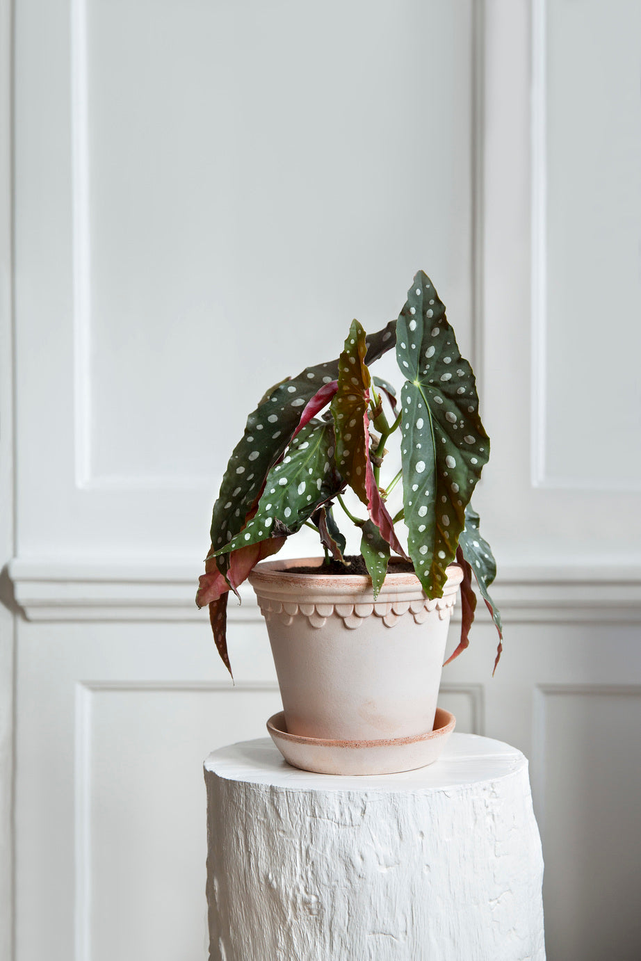 Garden Pot Copenhagen - Rosa