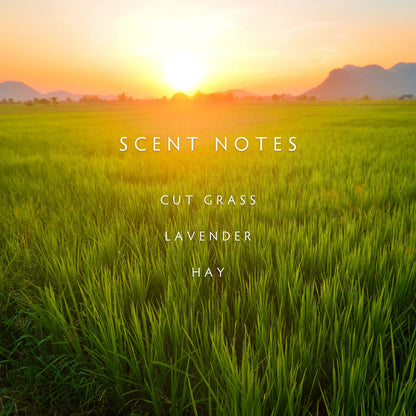 Candle - Spring Fields
