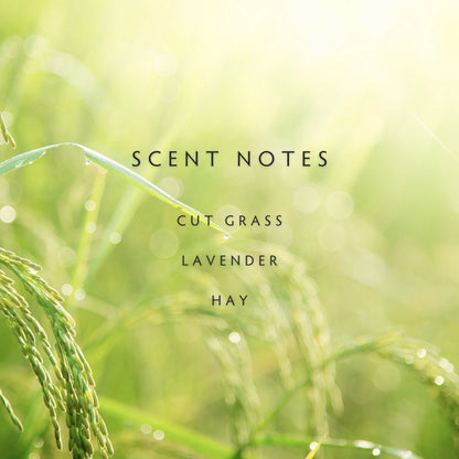 Candle - Spring Fields