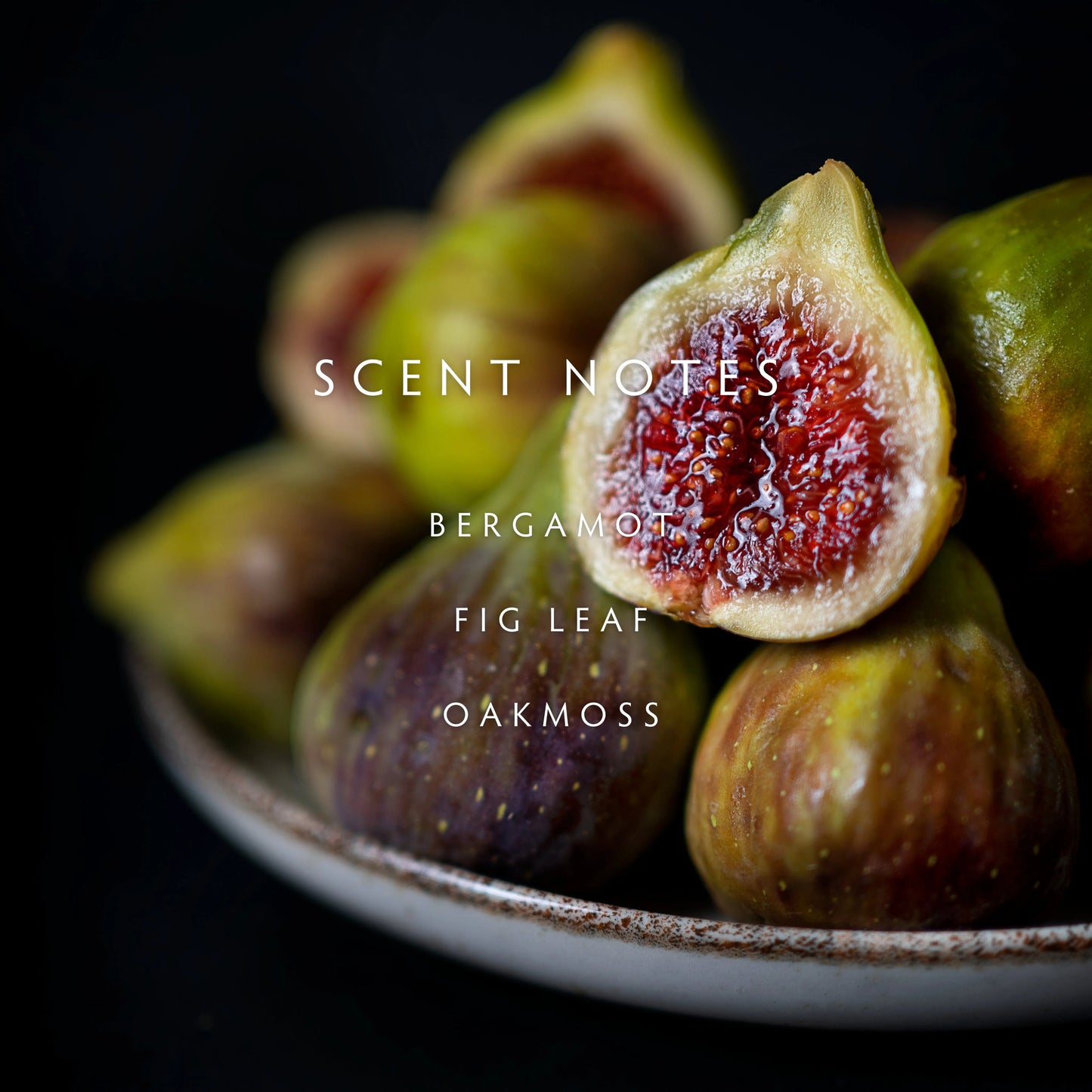Candle - Botanik Fig Leaf