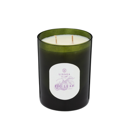 Candle - Botanik Fig Leaf