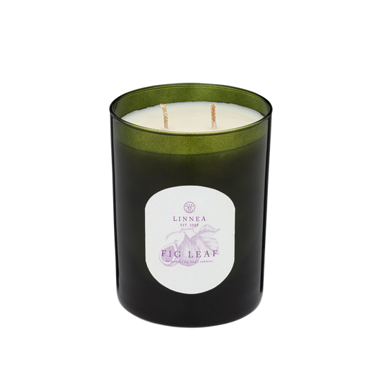 Candle - Botanik Fig Leaf