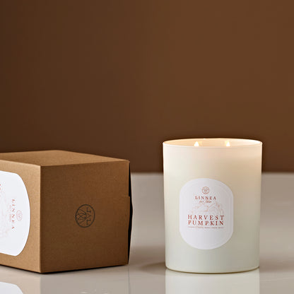 Candle - Fall Harvest Pumpkin