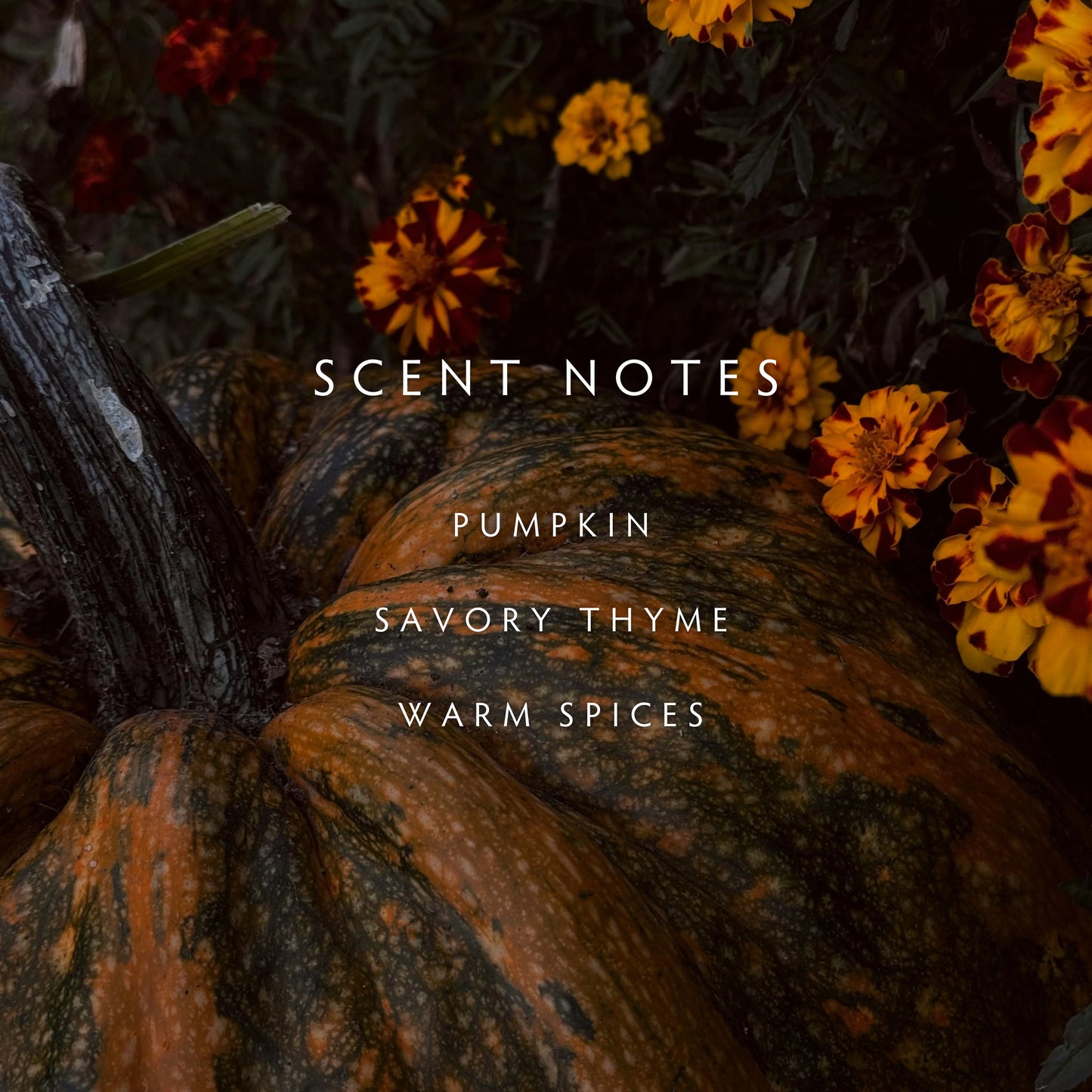 Reed Diffuser - Fall Harvest Pumpkin