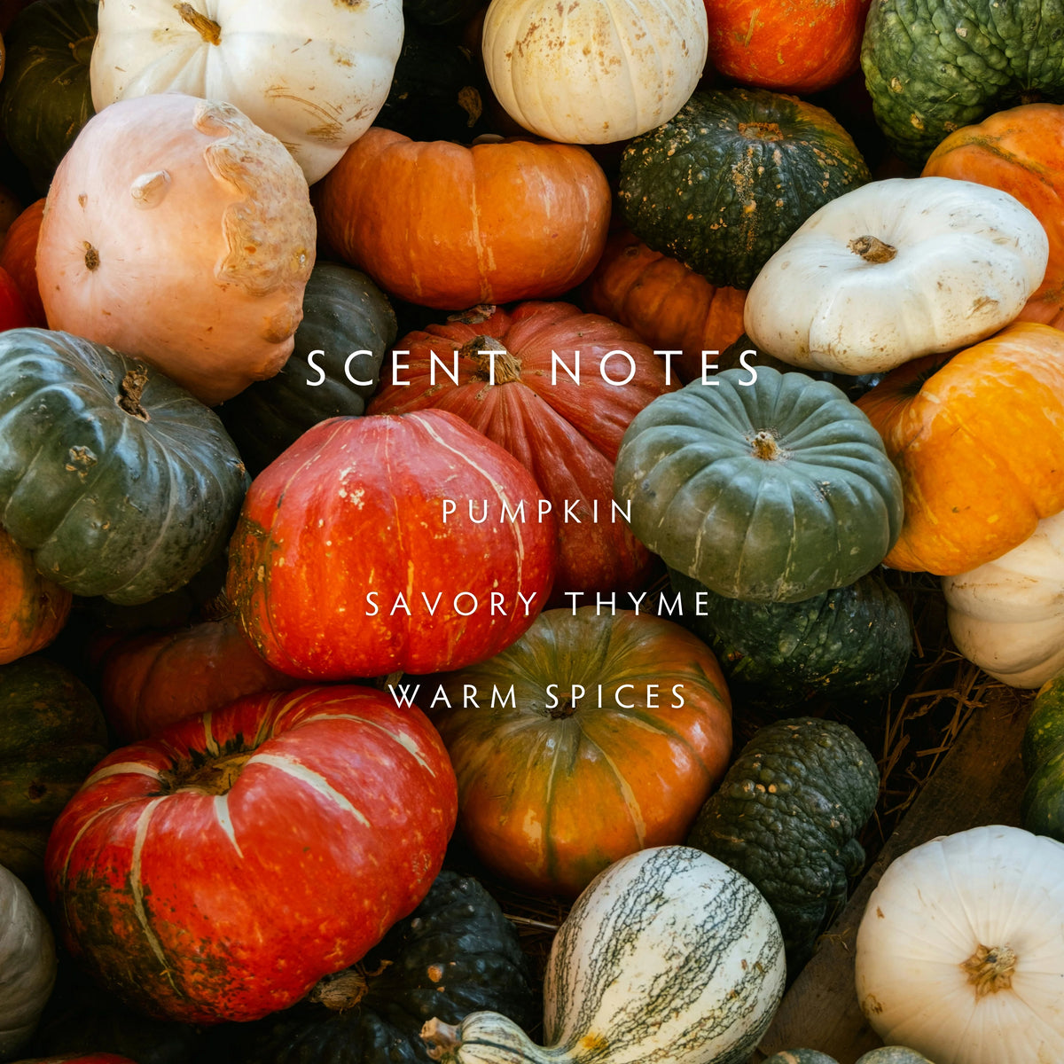 Candle - Fall Harvest Pumpkin