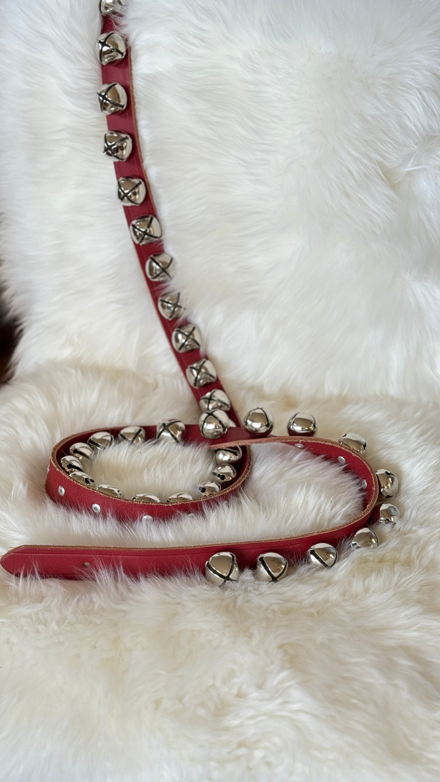 Nickel Plated Brass Sleigh Bells - Narrow Strap 60” Buckle - Red