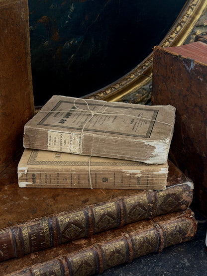 Antique 19th c. French Paperback Book