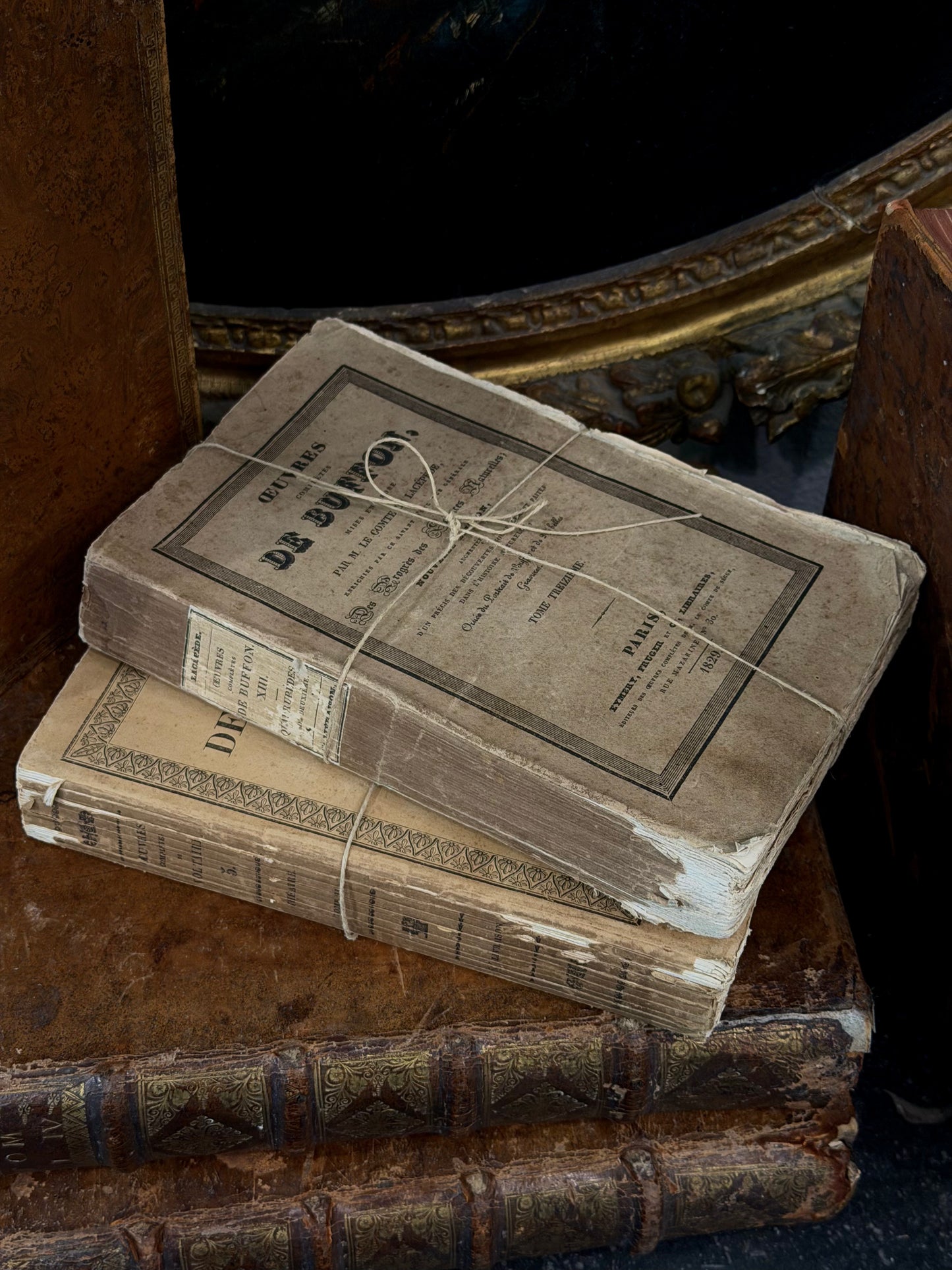 Antique 19th c. French Paperback Book