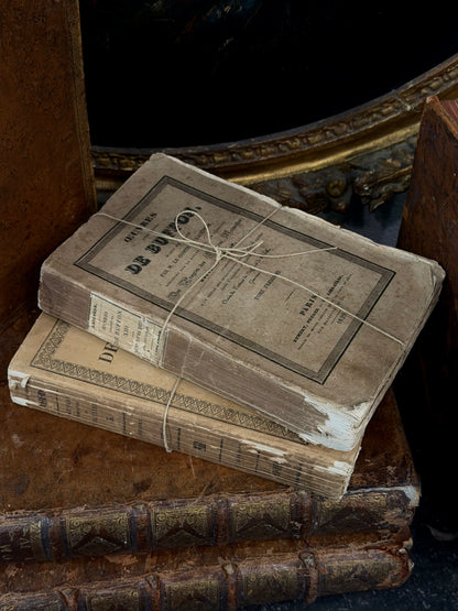 Antique 19th c. French Paperback Book
