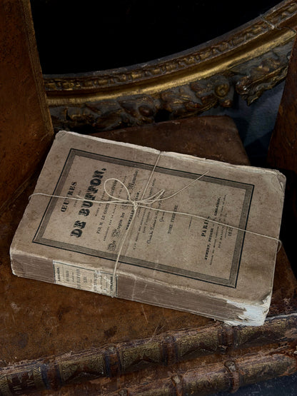 Antique 19th c. French Paperback Book
