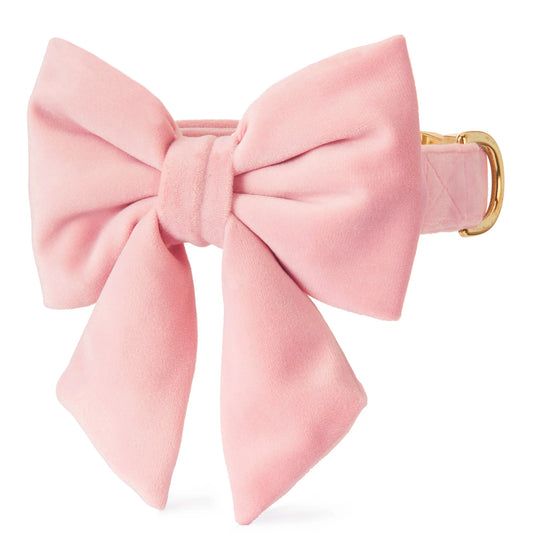 Blush Velvet - Lady Bow