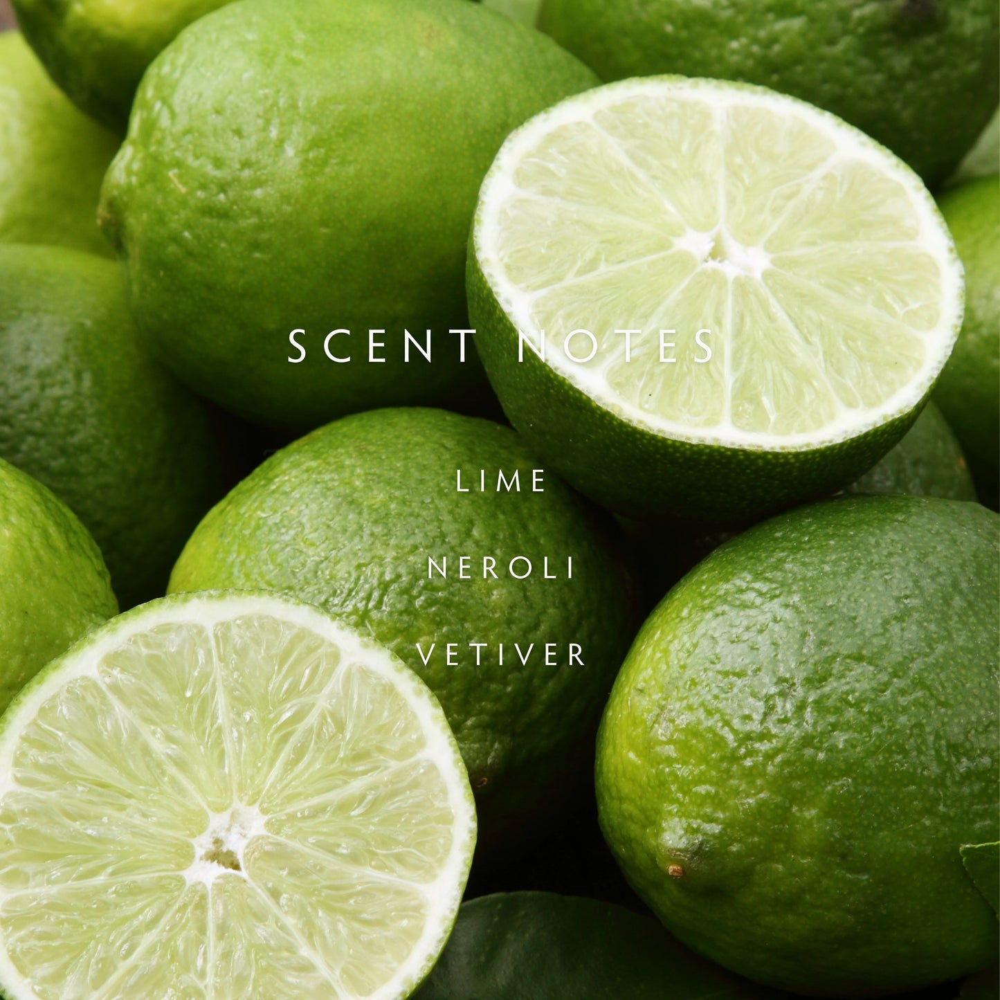 Candle - Classic Persian Lime