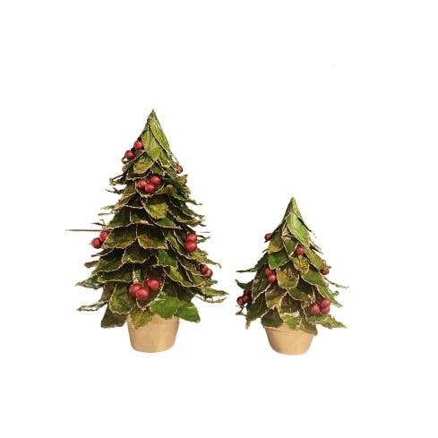 Tree - Potted Pointed Leaf Cone with Berries 12"