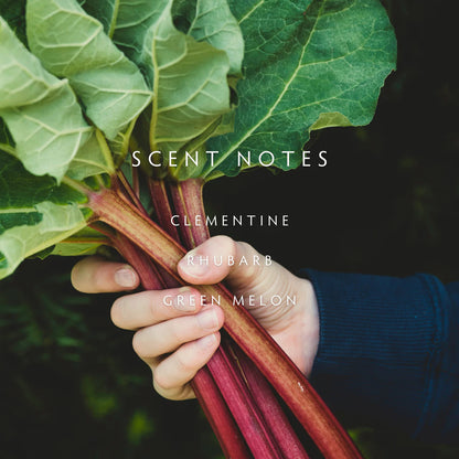 Candle - Botanik Rhubarb
