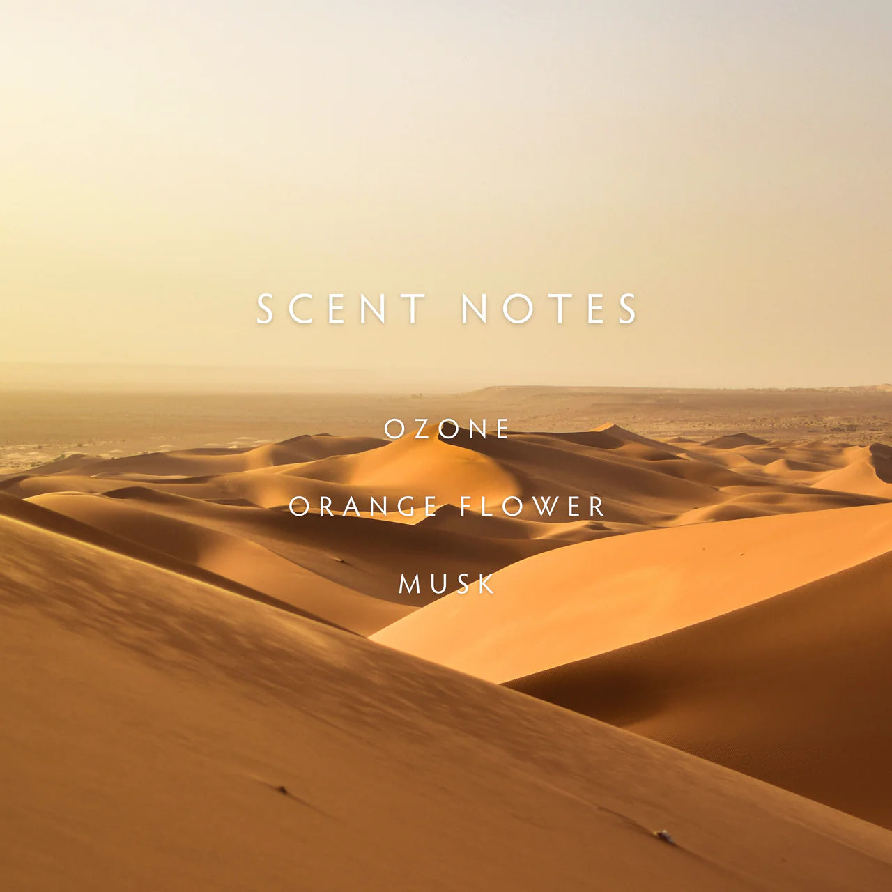 Candle - Escape Sand