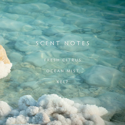 Candle - Classic Sea Salt 3-wick