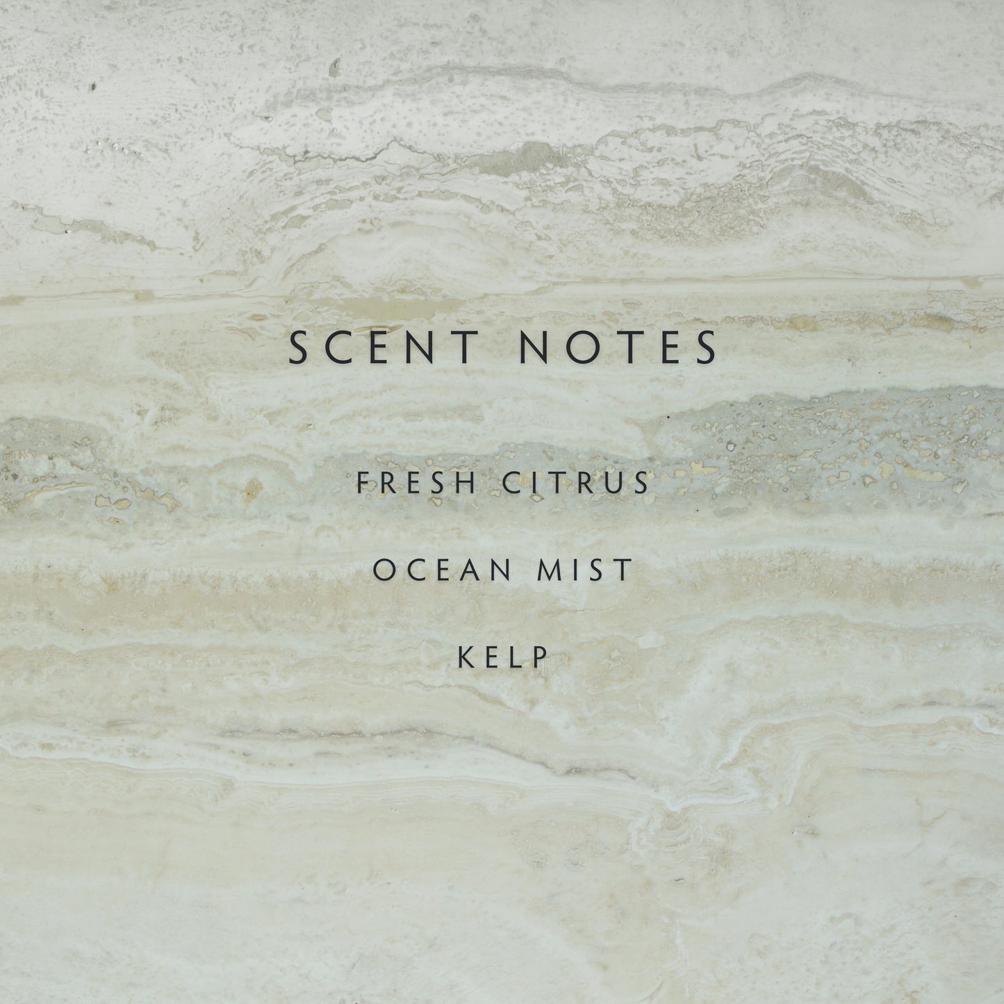 Reed Diffuser - Classic Sea Salt