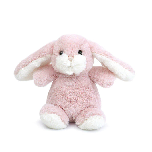 Bun Bun the Bunny