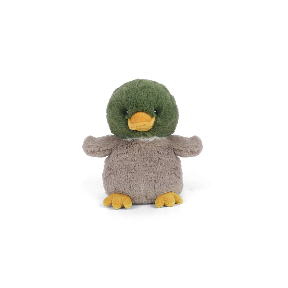Billie the Petit Mallard Duck