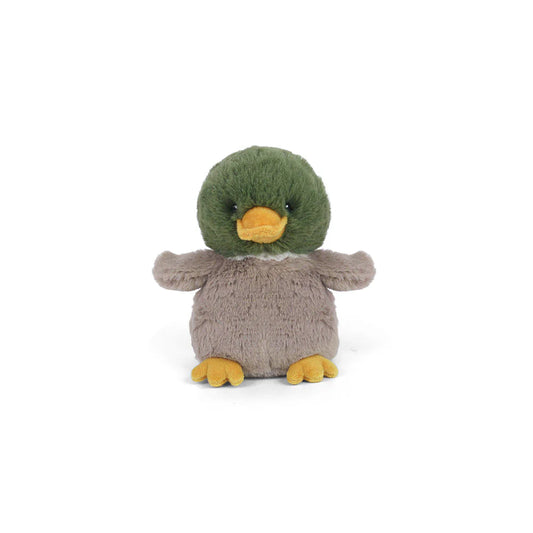 Billie the Petit Mallard Duck