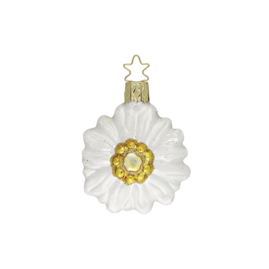 Ornament - Edelweiss Blume 2.6"
