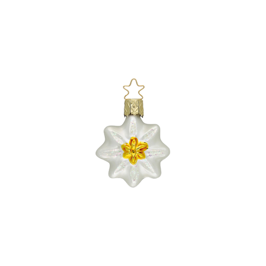 Ornament - Edelweiss Stern