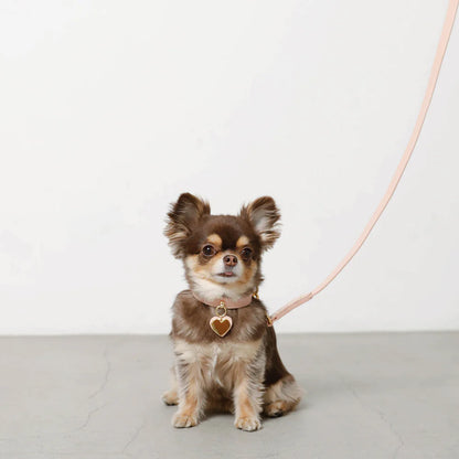 Leather Dog Lead - Pink