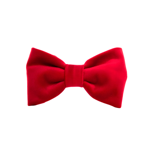 Cranberry Velvet - Bow Tie