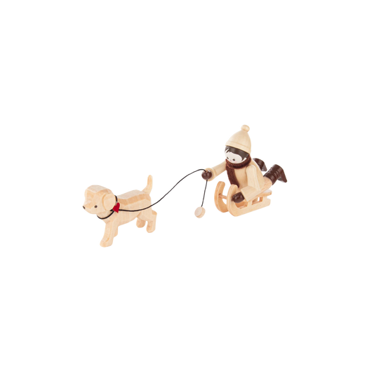 Boy with Dog on Sled