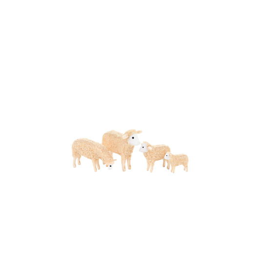 Sheep Family (4)