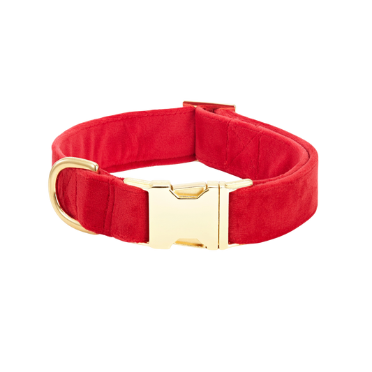 Cranberry Velvet Collar