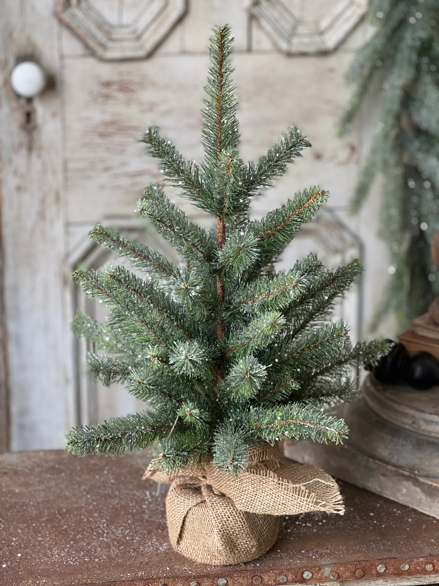 Tree - Icy Northlight  Pine 24"