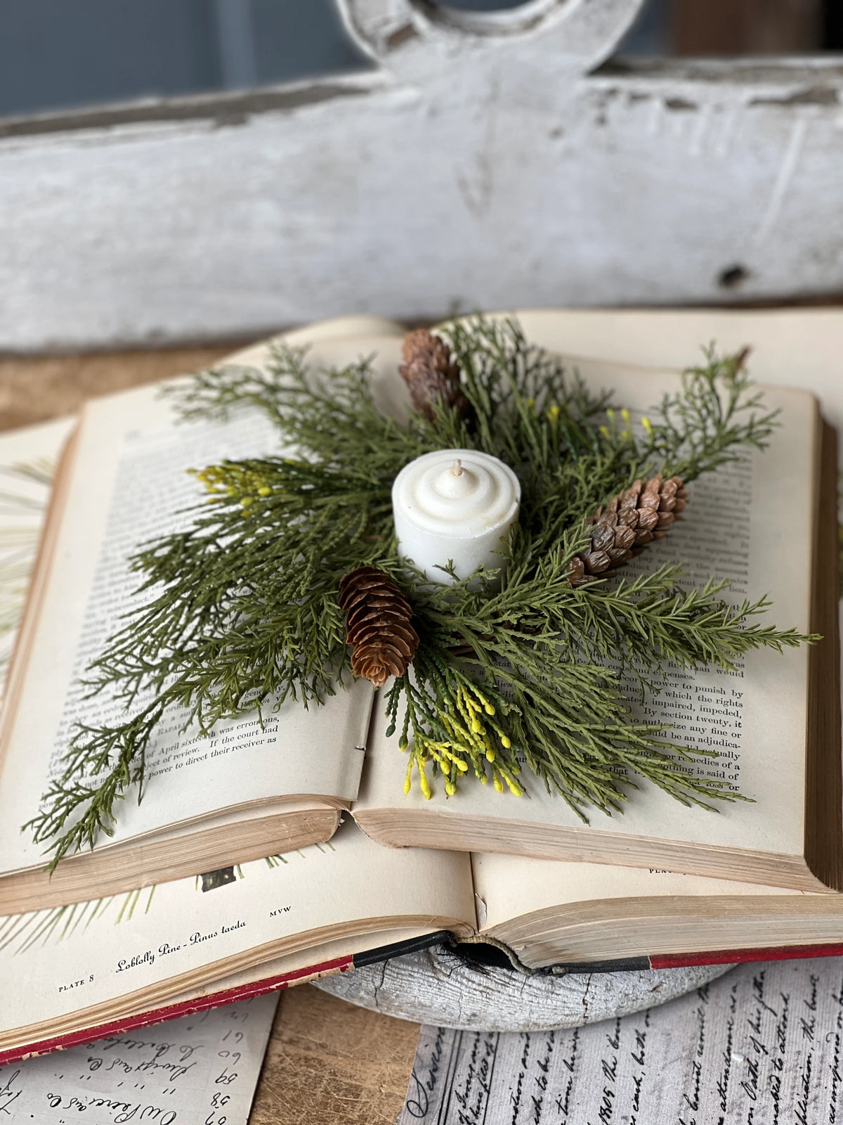 Candle Ring - Alpine Cedar 7" (2" Inner Ring)