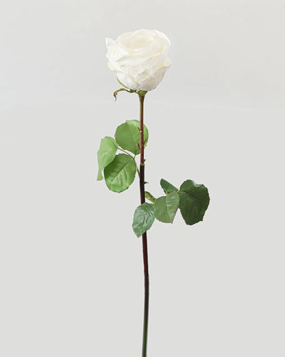 Floral Stem - Ecuadorian Rose White 23"