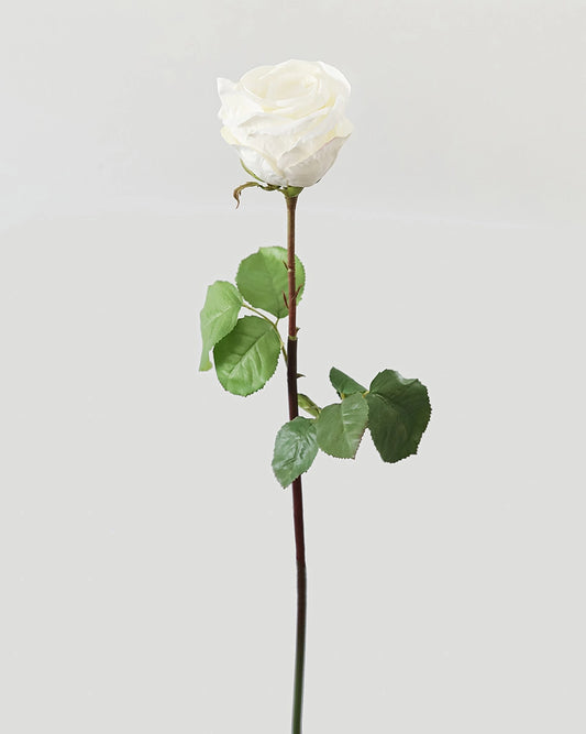 Floral Stem - Ecuadorian Rose White 23"