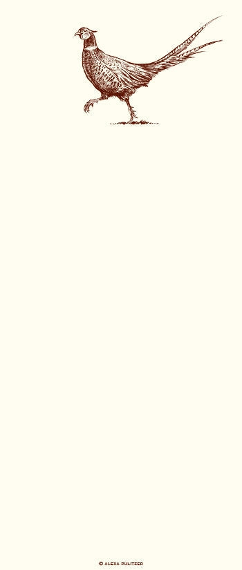 Notepad Skinny - Pheasant