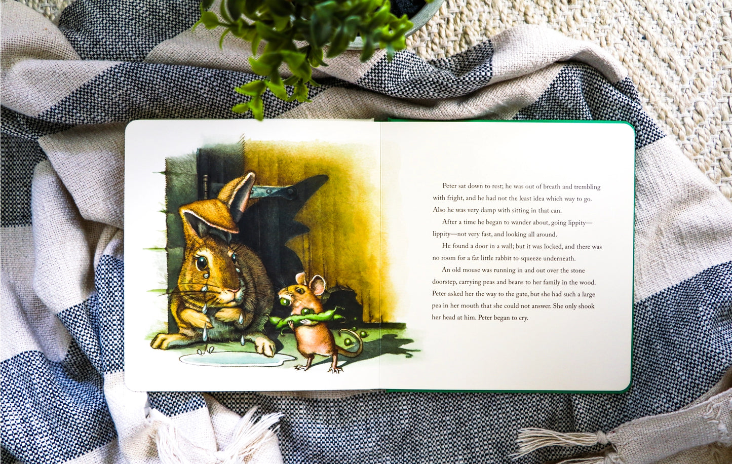 Book - The Classic Tale of Peter Rabbit (Board Book)
