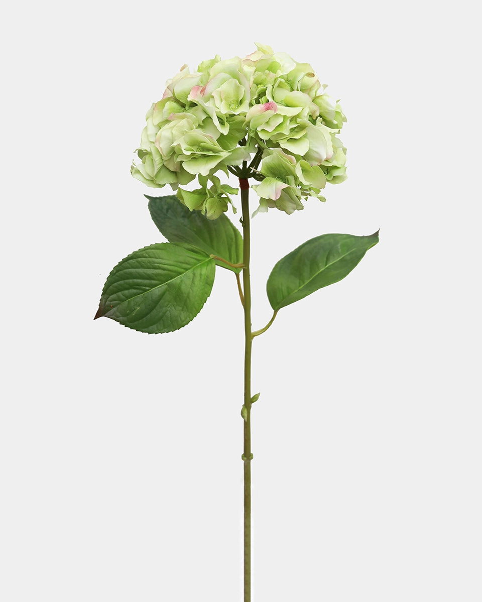 Floral Stem - Hydrangea Green 28.5"