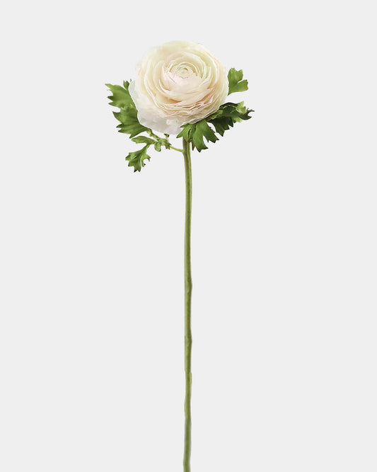 Floral Stem - Ranunculus Cream 21"