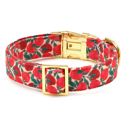 Apple of My Eye Fall Collar