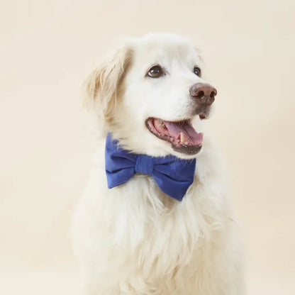 Navy Velvet - Bow Tie