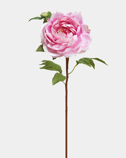 Floral Stem - Peony Pink 19.5"