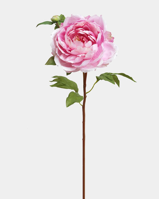 Floral Stem - Peony Pink 19.5"