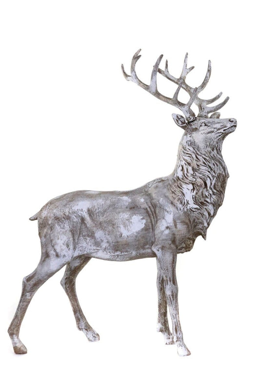 Winter Stag Whitewash