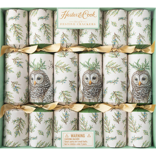 Christmas Crackers - Winter Owls