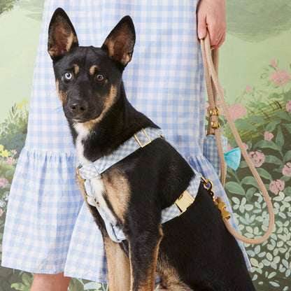Sky Blue Gingham Spring Dog Harness